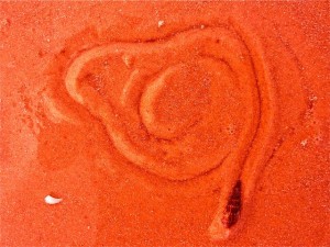 auger red