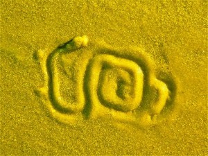 auger yellow