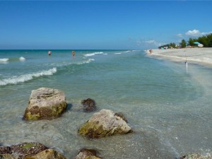 Captiva rocks shells Captiva rocks shells