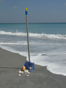 Susick Sea Shell Sifter Scoop