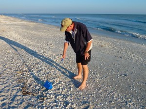 Seashell sifter scoop