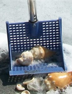 Susick Seashell Sifter