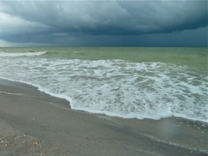 Captiva Island clean beach