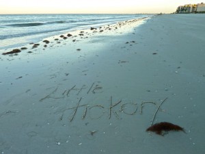 Little Hickory in the sand