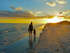 Little Sheller on Sanibel Little Sheller on Sanibel
