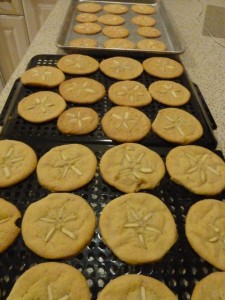 Sand Dollar cookie trays