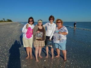 Seashell collectors from Connecticut Seashell collectors from Connecticut