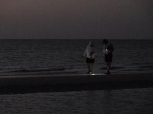 Shell seekers before sunrise