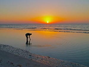 Sunrise low tide shell collecting