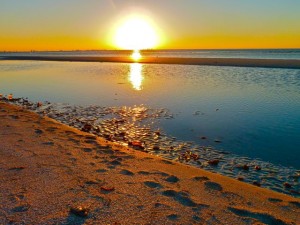 Sunrise shelling on Sanibel Sunrise shelling on Sanibel