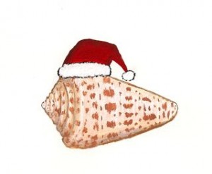 cone christmas shell cone christmas shell