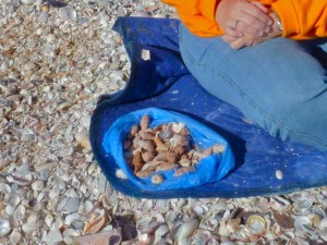 Beach sheller Joan copy Beach sheller Joan copy