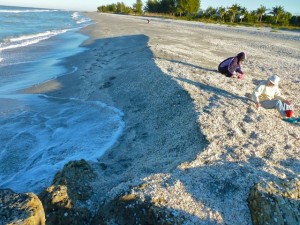 Blind Pass Captiva shell mound Blind Pass Captiva shell mound