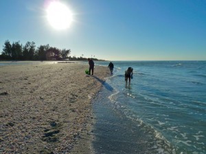 Captiva crouch Captiva crouch