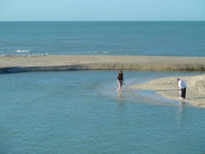 Captiva sand bar shelling Captiva sand bar shelling