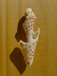 brown speckled junonia