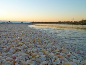 Sand bar beach Captiva Sand bar beach Captiva