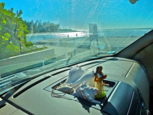 Sea shells on Brian's dashboard Sea shells on Brian's dashboard