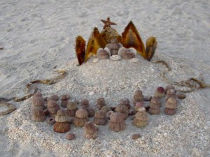 Seashell Nativity
