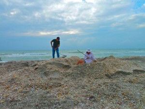 Seashell Excavation Seashell Excavation