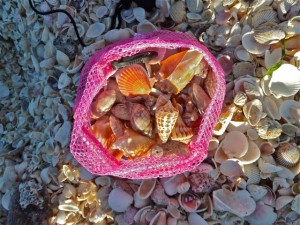 Shell bag with Alphabet Cone Shell bag with Alphabet Cone