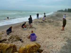 Shell excavation on Captiva Shell excavation on Captiva