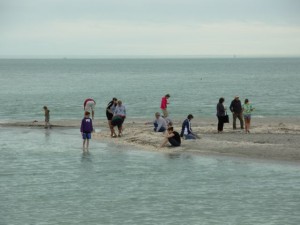 Shell seekers on sand bar