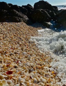 Shells water jetty