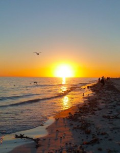 Sunset on seashells Sunset on seashells
