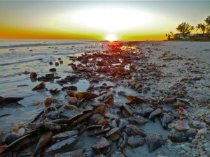 Sunset on shell wrack Sunset on shell wrack