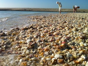 Two shelling Blind Pass Two shelling Blind Pass
