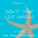 no live shelling