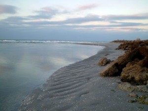 Sand bar Dec 6 Captiva Sand bar Dec 6 Captiva