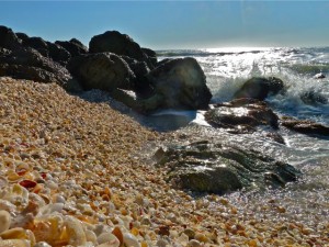 seashells gulf waters Captiva