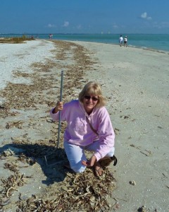 Beachcomber Kaybe