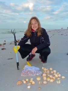Buttercup shells Alexandra Buttercup shells Alexandra