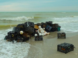Crab trap beach