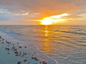 Golden Sanibel Sunrise Golden Sanibel Sunrise