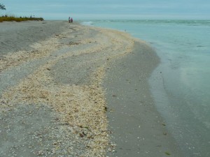 Sanibel's Blind Pass beach