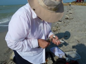 Saving a bird