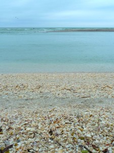 Shell beach to sand bar
