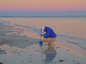 Shelling for Wentletraps Shelling for Wentletraps