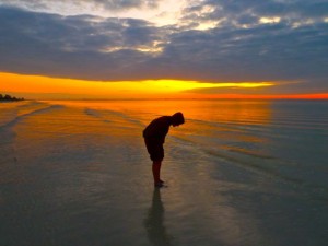 low tide sunrise shell seeker