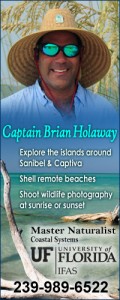 Brian Holaway Shelling guide