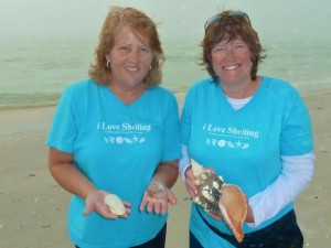 Angel wing, sharks eye, horse conch Angel wing, sharks eye, horse conch