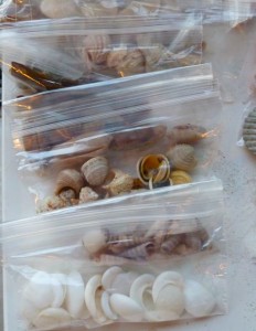 Bags of shells