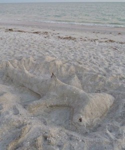 Hammerhead Beach art