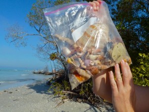 Jen's shell bag Jen's shell bag