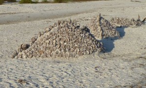 Nessy's pen shell humps