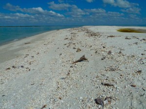 Marco sand bar
